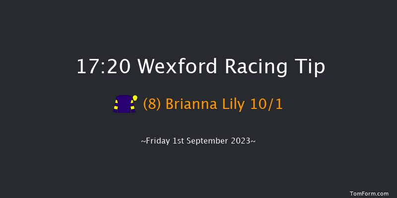 Wexford 17:20 Handicap Hurdle 20f Fri 11th Aug 2023