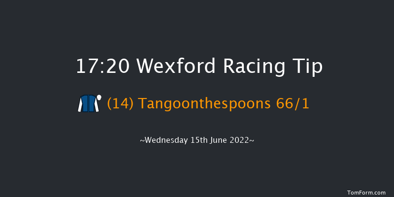 Wexford 17:20 Maiden Hurdle 20f Wed 8th Jun 2022