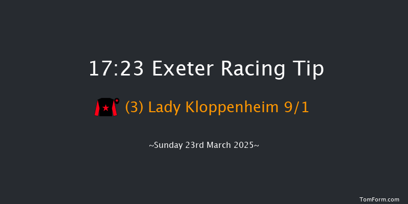Exeter  17:23 NH Flat Race (Class 5) 17f Tue 18th Mar 2025
