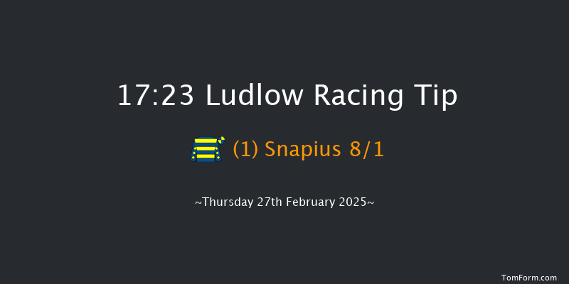 Ludlow  17:23 Handicap Hurdle (Class 5) 16f Wed 19th Feb 2025