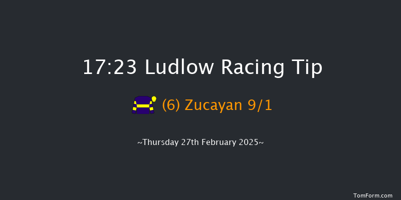 Ludlow  17:23 Handicap Hurdle (Class 5) 16f Wed 19th Feb 2025