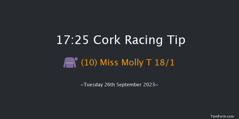 Cork 17:25 Handicap 8f Wed 6th Sep 2023