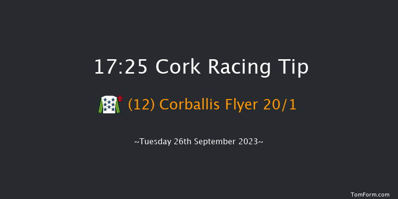 Cork 17:25 Handicap 8f Wed 6th Sep 2023
