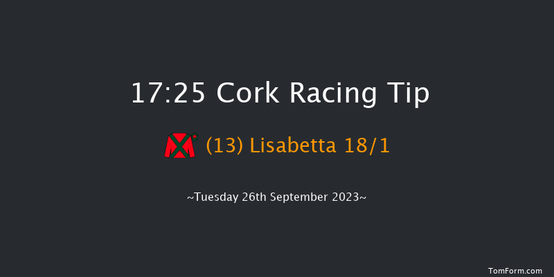 Cork 17:25 Handicap 8f Wed 6th Sep 2023