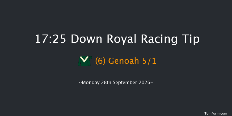 Down Royal 17-25 12f Fri 4th Sep 2026