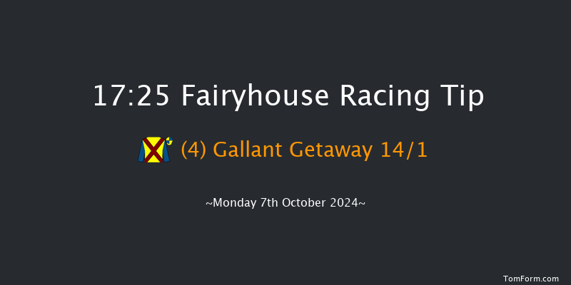Fairyhouse  17:25 NH Flat Race 16f Mon 23rd Sep 2024