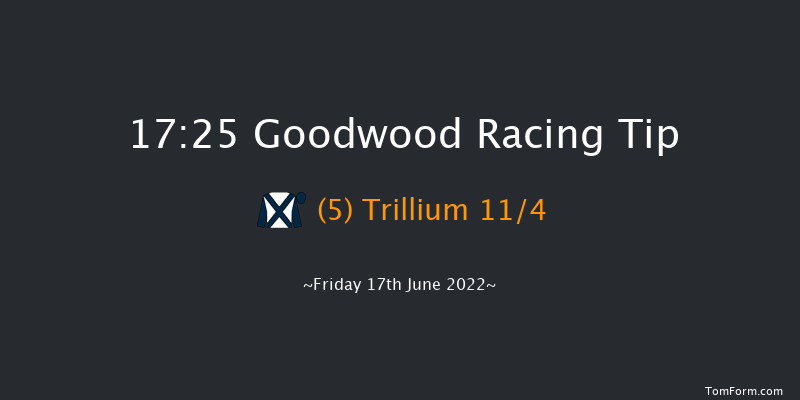 Goodwood 17:25 Maiden (Class 4) 6f Fri 10th Jun 2022