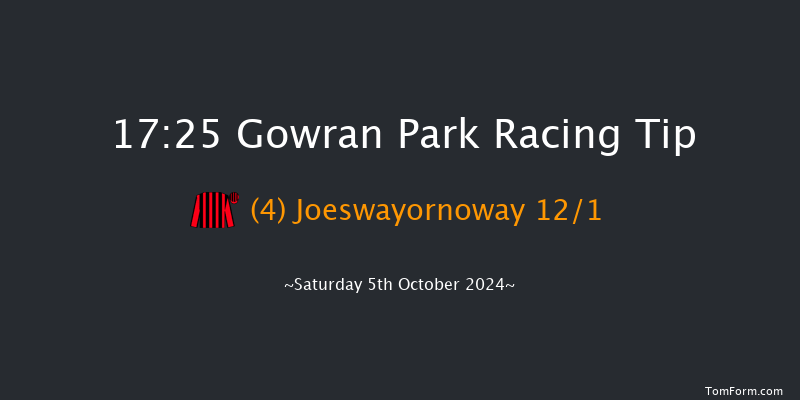 Gowran Park  17:25 Handicap Chase 18f Fri 4th Oct 2024