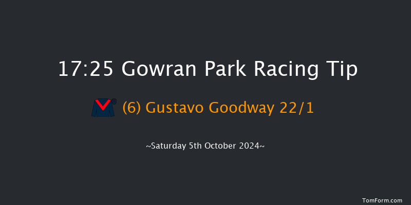 Gowran Park  17:25 Handicap Chase 18f Fri 4th Oct 2024