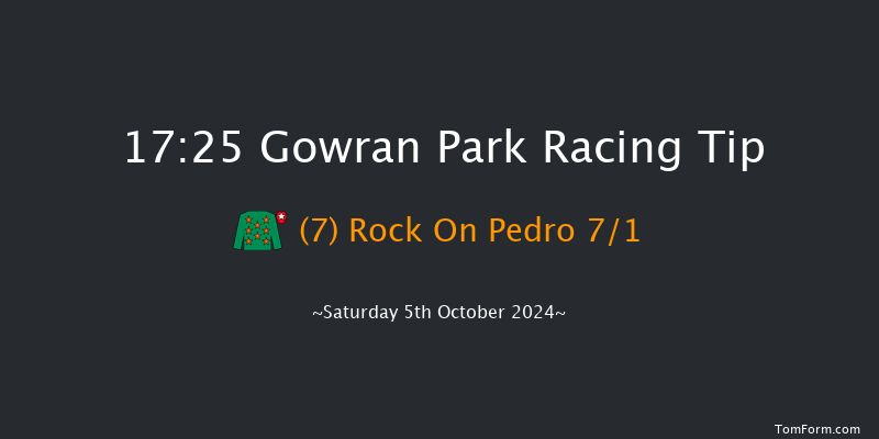 Gowran Park  17:25 Handicap Chase 18f Fri 4th Oct 2024