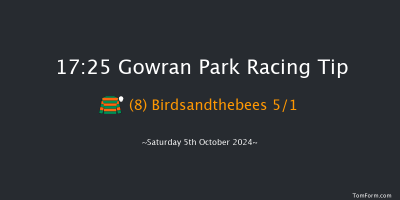 Gowran Park  17:25 Handicap Chase 18f Fri 4th Oct 2024