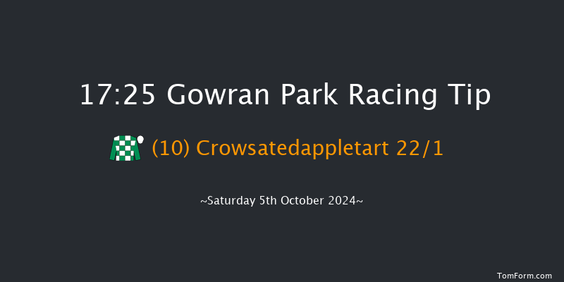 Gowran Park  17:25 Handicap Chase 18f Fri 4th Oct 2024
