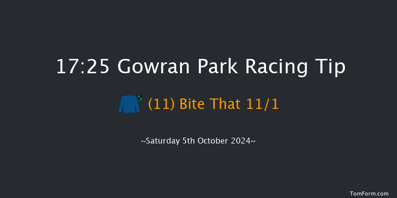 Gowran Park  17:25 Handicap Chase 18f Fri 4th Oct 2024