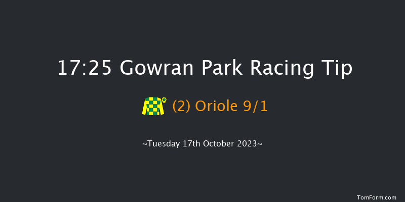 Gowran Park 17:25 Handicap 12f Mon 16th Oct 2023