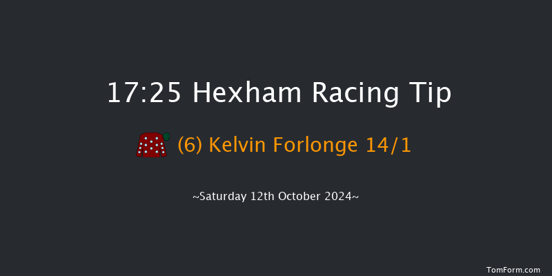 Hexham  17:25 NH Flat Race (Class 4) 16f Fri 4th Oct 2024