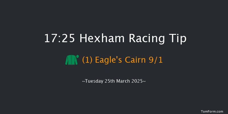 Hexham  17:25 NH Flat Race (Class 4) 16f Thu 13th Mar 2025