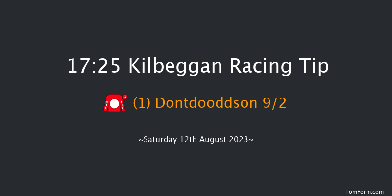 Kilbeggan 17:25 Handicap Hurdle 16f Fri 21st Jul 2023