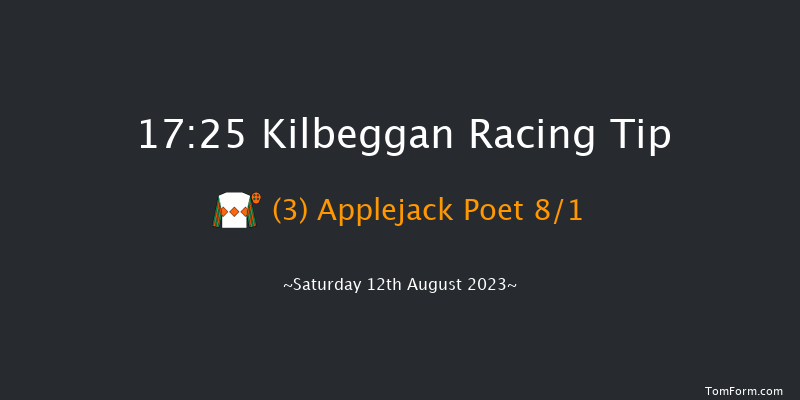 Kilbeggan 17:25 Handicap Hurdle 16f Fri 21st Jul 2023