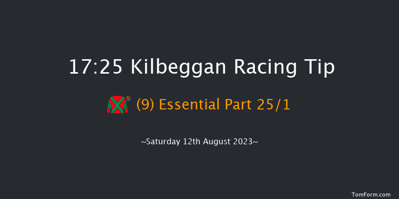 Kilbeggan 17:25 Handicap Hurdle 16f Fri 21st Jul 2023