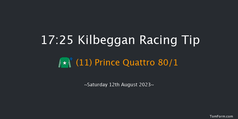 Kilbeggan 17:25 Handicap Hurdle 16f Fri 21st Jul 2023