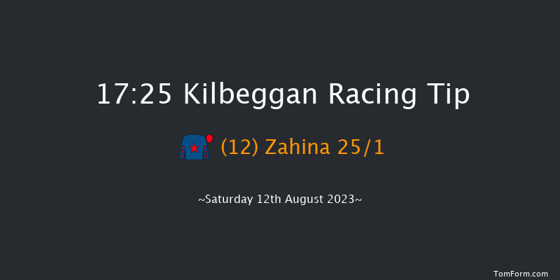 Kilbeggan 17:25 Handicap Hurdle 16f Fri 21st Jul 2023