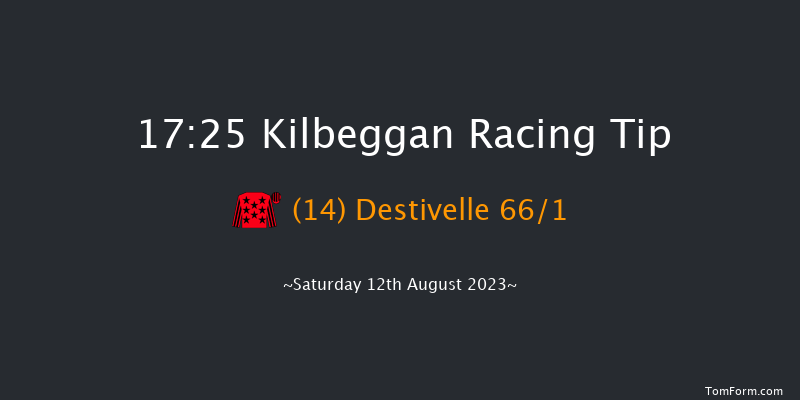 Kilbeggan 17:25 Handicap Hurdle 16f Fri 21st Jul 2023