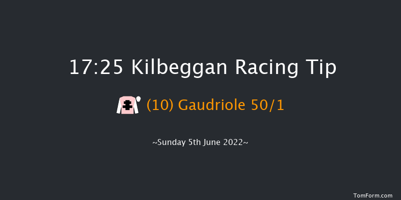 Kilbeggan 17:25 NH Flat Race 16f Fri 13th May 2022
