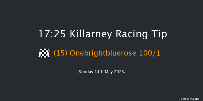 Killarney 17:25 NH Flat Race 17f Mon 10th Oct 2022