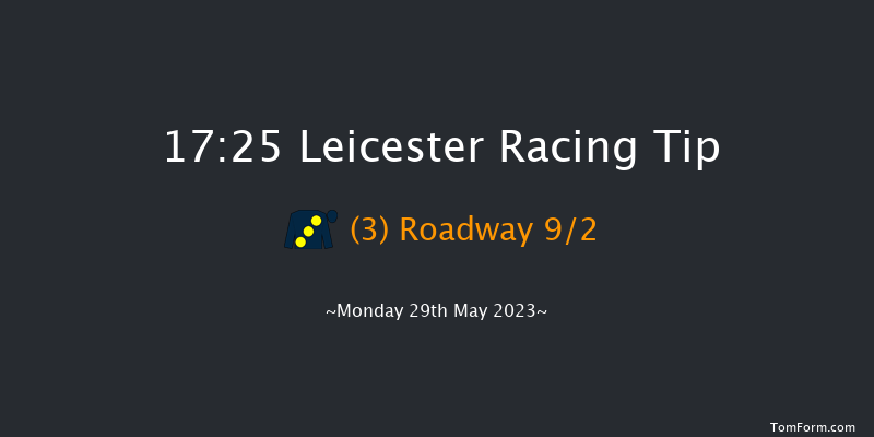 Leicester 17:25 Handicap (Class 5) 12f Sat 13th May 2023