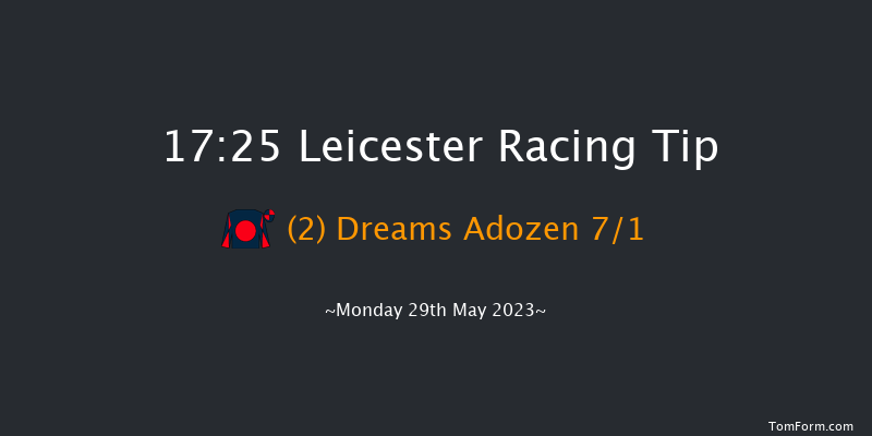 Leicester 17:25 Handicap (Class 5) 12f Sat 13th May 2023
