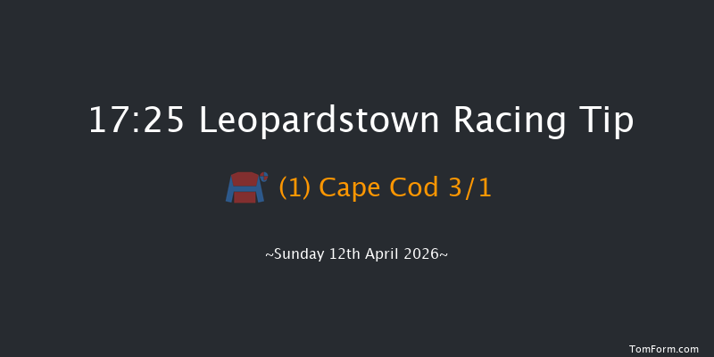 Leopardstown 17-25 10f Tue 3rd Mar 2026