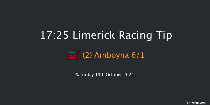 Limerick  17:25 NH Flat Race 16f Sun 7th Jul 2024