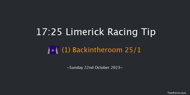 Limerick 17:25 Maiden Chase 19f Sat 21st Oct 2023