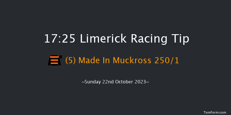 Limerick 17:25 Maiden Chase 19f Sat 21st Oct 2023