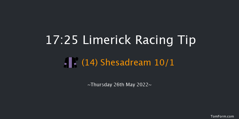 Limerick 17:25 Maiden Hurdle 19f Sat 23rd Apr 2022