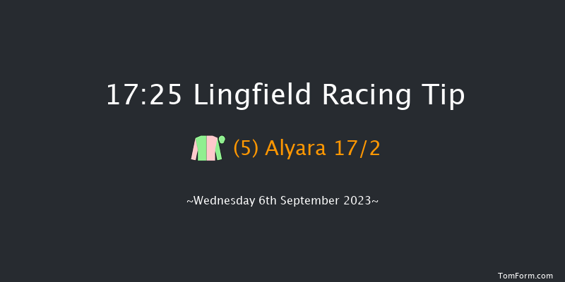 Lingfield 17:25 Handicap (Class 6) 8f Wed 30th Aug 2023