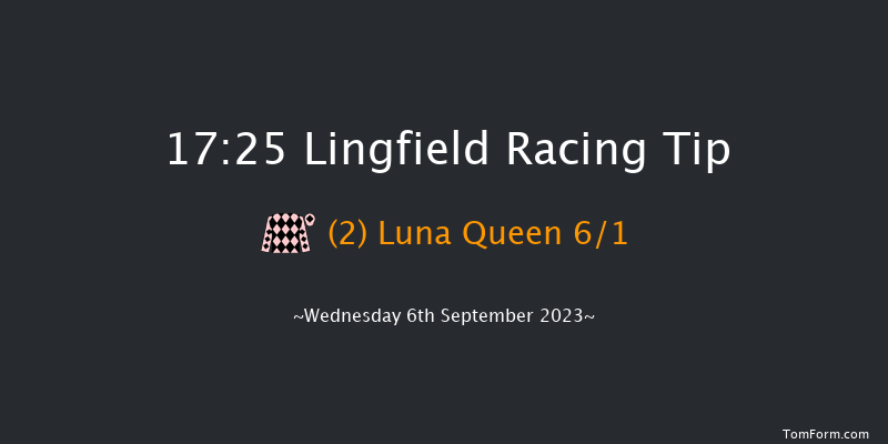 Lingfield 17:25 Handicap (Class 6) 8f Wed 30th Aug 2023