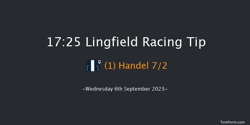 Lingfield 17:25 Handicap (Class 6) 8f Wed 30th Aug 2023