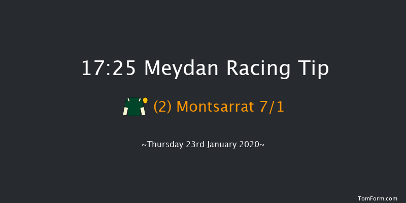 Meydan 17:25 1m 2f 15 run Jebel Ali Port Handicap - Dirt Sat 18th Jan 2020