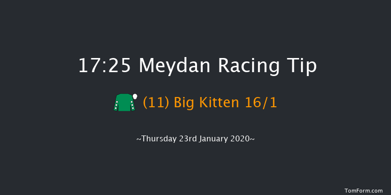 Meydan 17:25 1m 2f 15 run Jebel Ali Port Handicap - Dirt Sat 18th Jan 2020