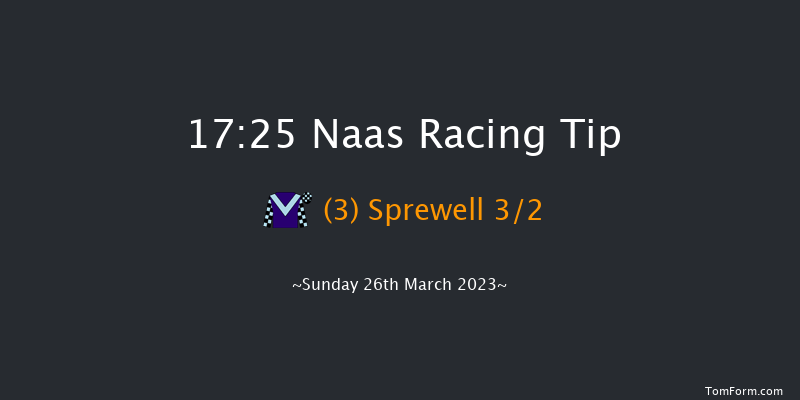 Naas 17:25 Stakes 8f Sun 12th Mar 2023