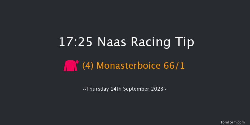 Naas 17:25 Maiden 7f Sun 27th Aug 2023