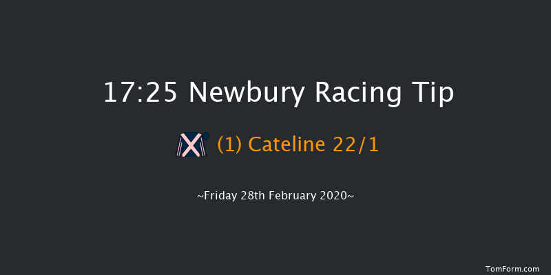 West Berkshire Racing Club Mares' Standard Open NH Flat Race Newbury 17:25 NH Flat Race (Class 5) 16f Sat 8th Feb 2020