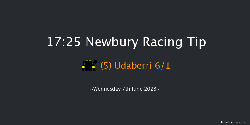 Newbury 17:25 Handicap (Class 4) 12f Sat 20th May 2023