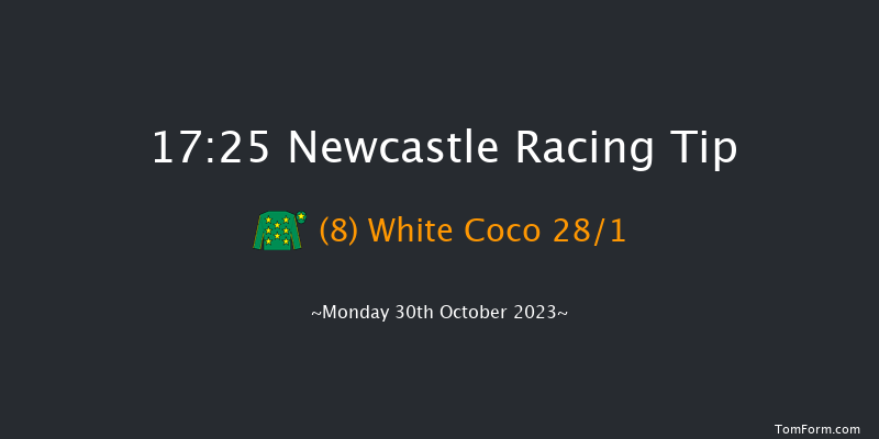 Newcastle 17:25 Stakes (Class 5) 8f Fri 20th Oct 2023