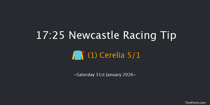 Newcastle 17-25 (Class 4) 7f Tue 27th Jan 2026