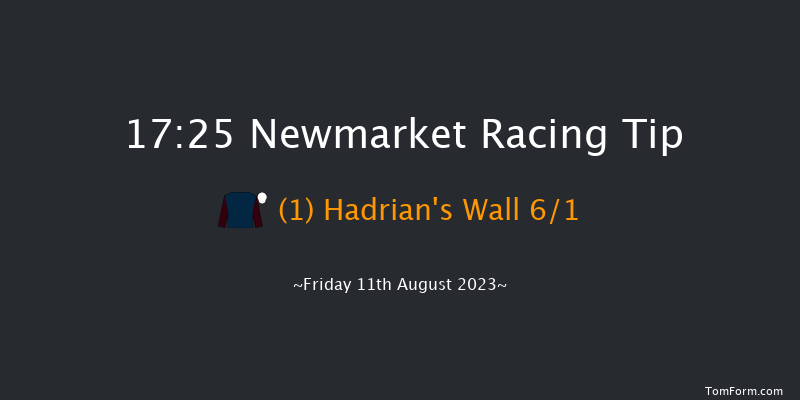 Newmarket 17:25 Seller (Class 4) 7f Sat 5th Aug 2023
