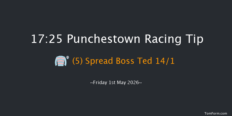Punchestown 17-25 (Class 1) 20f Thu 30th Apr 2026