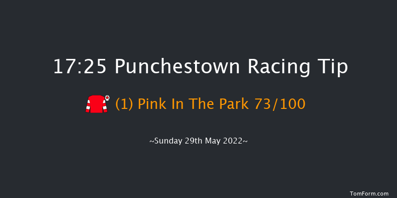 Punchestown 17:25 NH Flat Race 16f Sat 28th May 2022