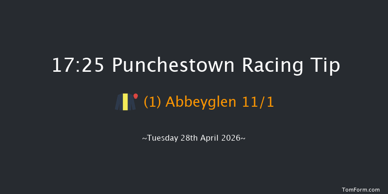Punchestown 17-25 16f Wed 18th Feb 2026